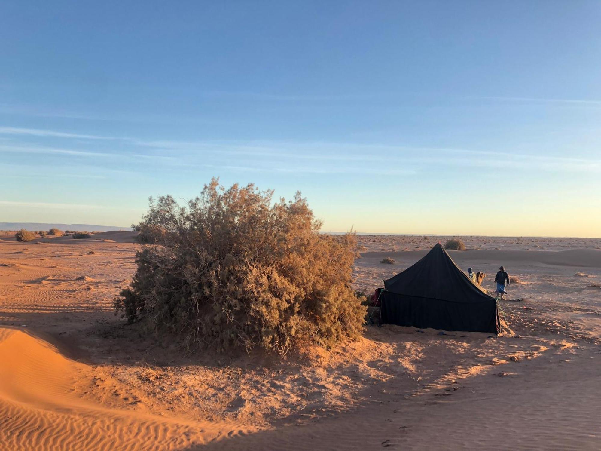 Отель Nomads Life Style Мхамид Экстерьер фото