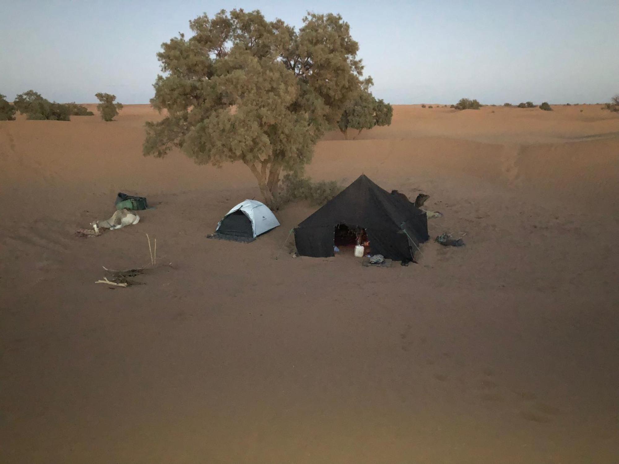 Отель Nomads Life Style Мхамид Экстерьер фото